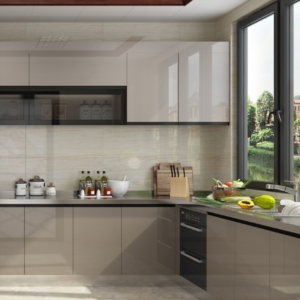 Acrylic Kitchen Cabinet (1)